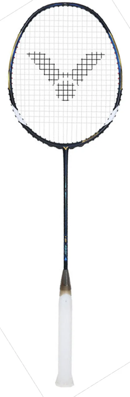 Victor Brave Sword 12 SE B (Non Cordée)