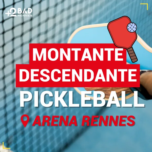 Animation Pickleball Rennes 6 février 2026